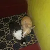 sunita_kali99