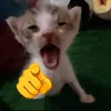 khanhly_093