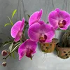 huynguyen35597