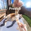 cry_cat__