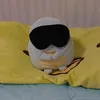 kinokogayu