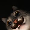 miau.forever