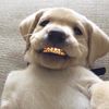 cali_bandz