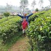 tiehandayanie676