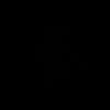 bir_398