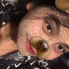 crmltrms_
