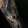 marek_navigator