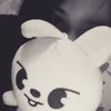 kiss_va