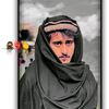 lp_shakiro109