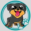 vida_pet366