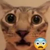 yxkiytx