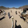 travelassists
