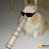 chao0471yt