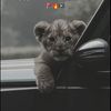 atif_jutt30