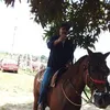 josvaldinar