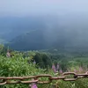 nionilu