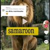 user935184530335