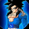gokufrisellaro