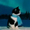cletto_6