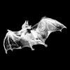 odd_bat