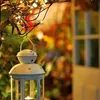 waheed_arman01