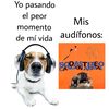 tonyelgrasoendirecto