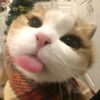 nisky_4