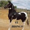 broncoaquino