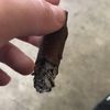 bryankelsey125