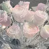 hong_tran22