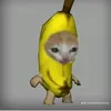 ptttnek