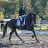 dressage.doerte