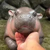 poltergeistqt