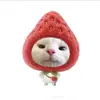 fandaominhhieu1