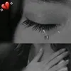 user23911941329386
