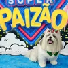 juniormunizjrmuniz