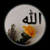 user77005333378427