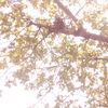 minarulislam2691