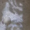 dessys878