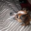 .dasha02008