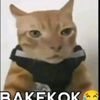 stev_ajaaaa
