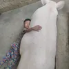 cum_2025