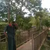 callmelongtot
