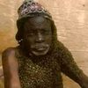 Babu WA NYUKI