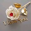 ariyanchowdhury409