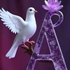 abdaou8