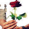 user4161172871061