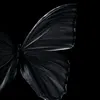 rah_ma775