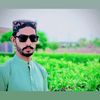alishanjutt940