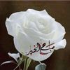 user944883443